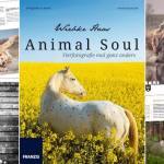 Tierfotografiebuch Animal Soul von Wiebke Haas