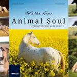 Tierfotografiebuch Animal Soul von Wiebke Haas