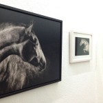 Pferdefotografie, horse, photography, fineart, Pferdefotograf
