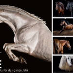 Pferdefotokalender, Pferdekalender, Pferdefotografie, Pferdefotograf, Pferdefotos, schöne Pferde, Pferdegeschenk, Pferdekunst