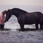 Fotoshooting Am Strand mit Ihrem Pferd, Meer, Ostsee, Strand, Pferd, Pferde, Pferdefotoshooting, Pferdefotograf, Pferdefotografie, Friese, Wasser
