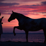 Fotoshooting Am Strand mit Ihrem Pferd, Meer, Ostsee, Strand, Pferd, Pferde, Pferdefotoshooting, Pferdefotograf, Pferdefotografie, Appaloosa, Wasser